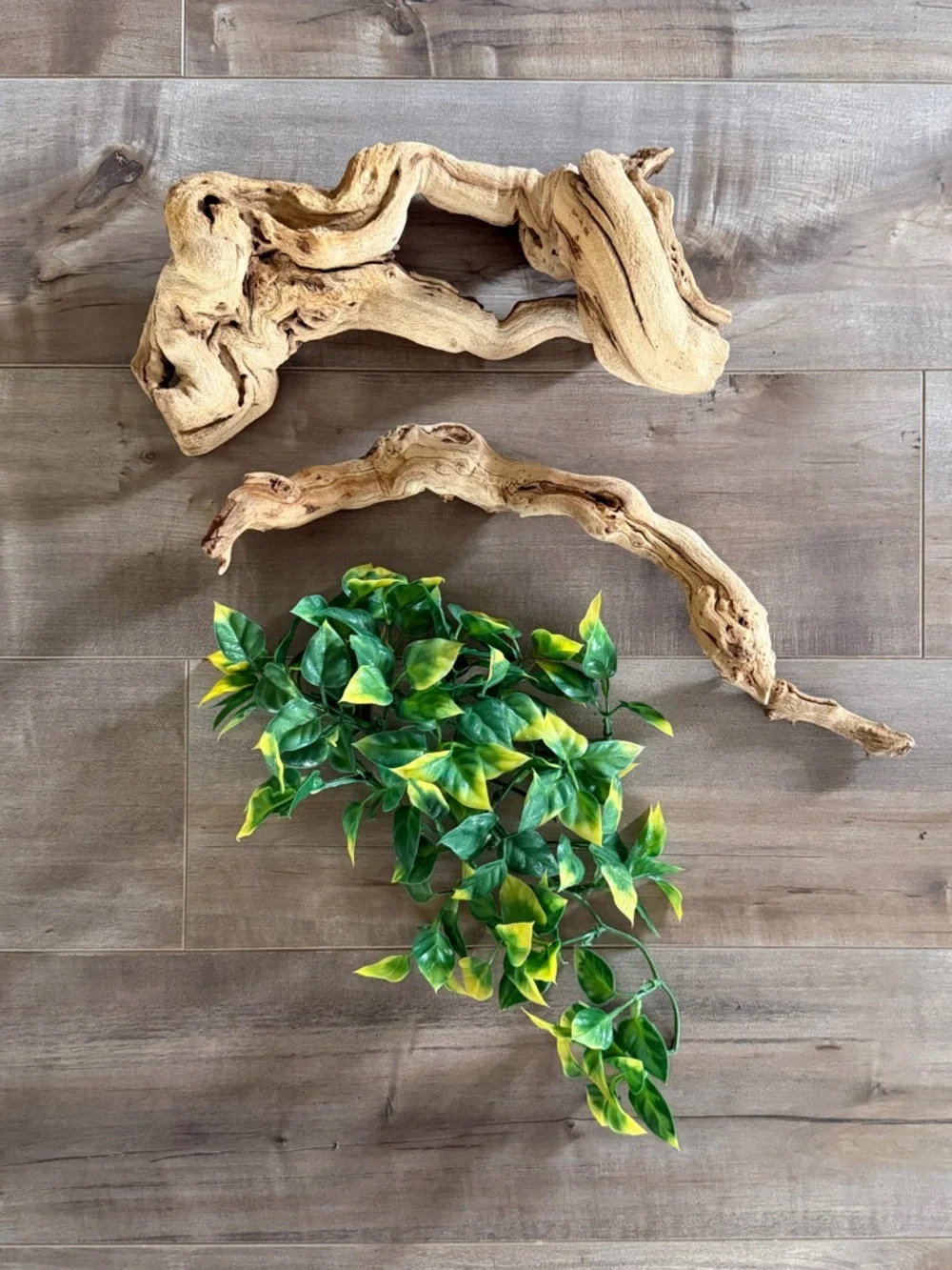 Reptile Terrarium Set - Thrive Hanging Terrarium Plant & Sandblasted Grapevine